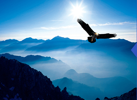 太阳城官网(中国)集团有限公司